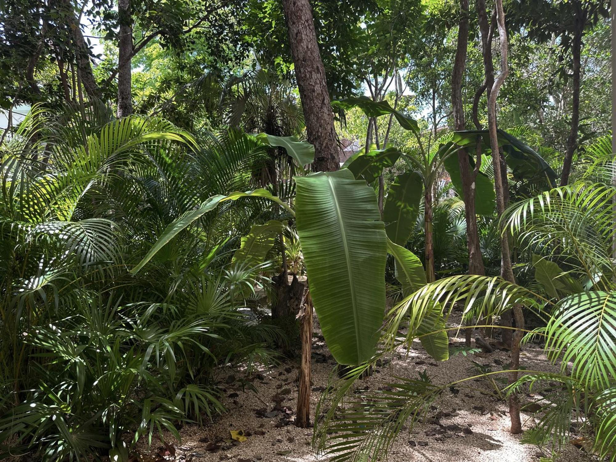 Appart hôtel Ophelia In Aldea Zama Tulum